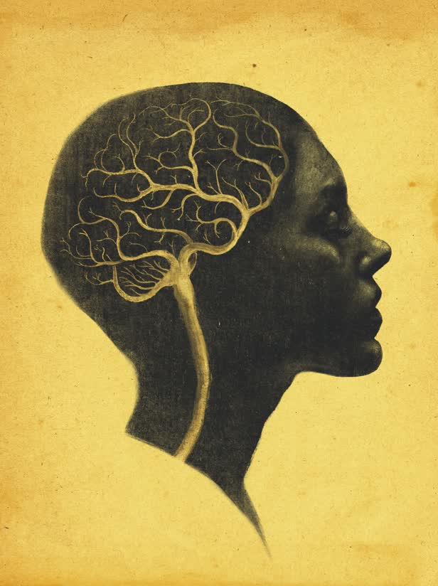 Intelligence / Personal work