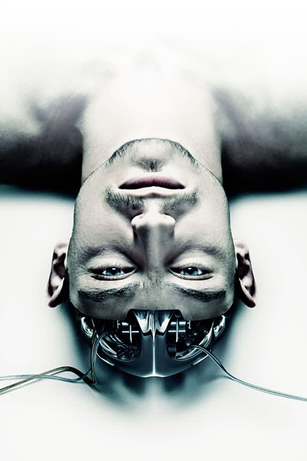 Wired Brain