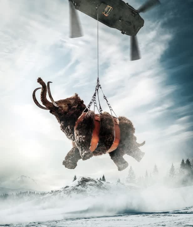 Mammoth / Telegraph