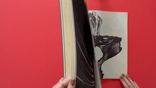 Herbaria Book / 24 Ore Cultura