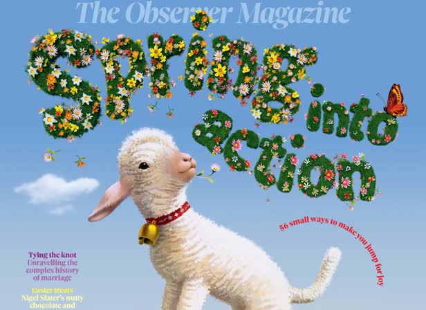 Observer spring cover.jpg