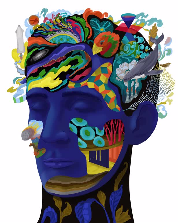 Are We Universal Explainers?