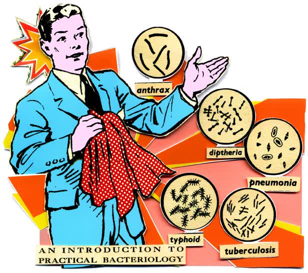 Handkerchief Bacteria Germs GQ