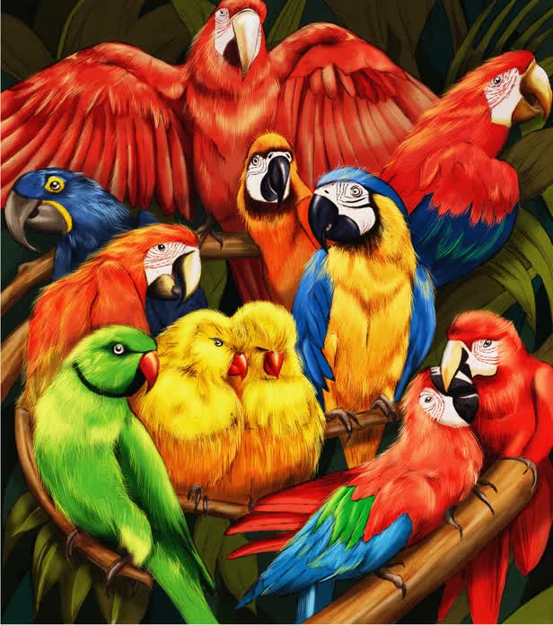 Parrots