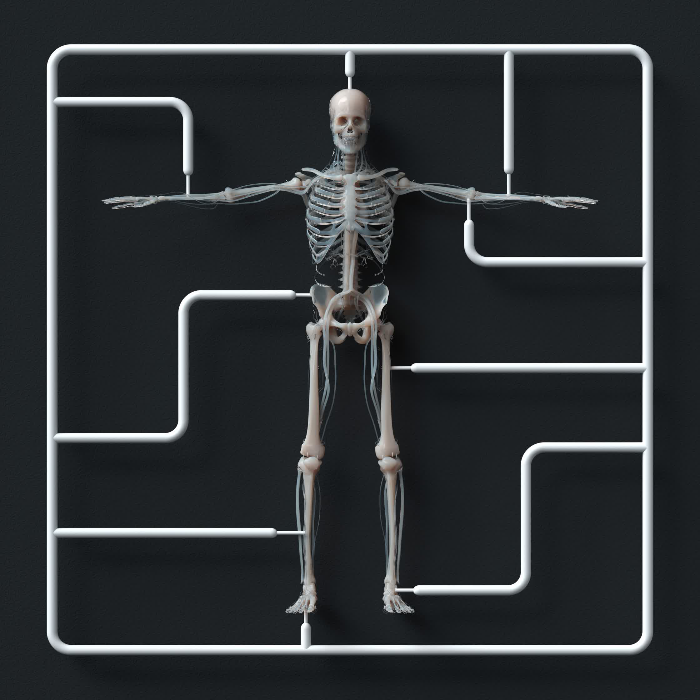 Skeleton-Kit.jpg