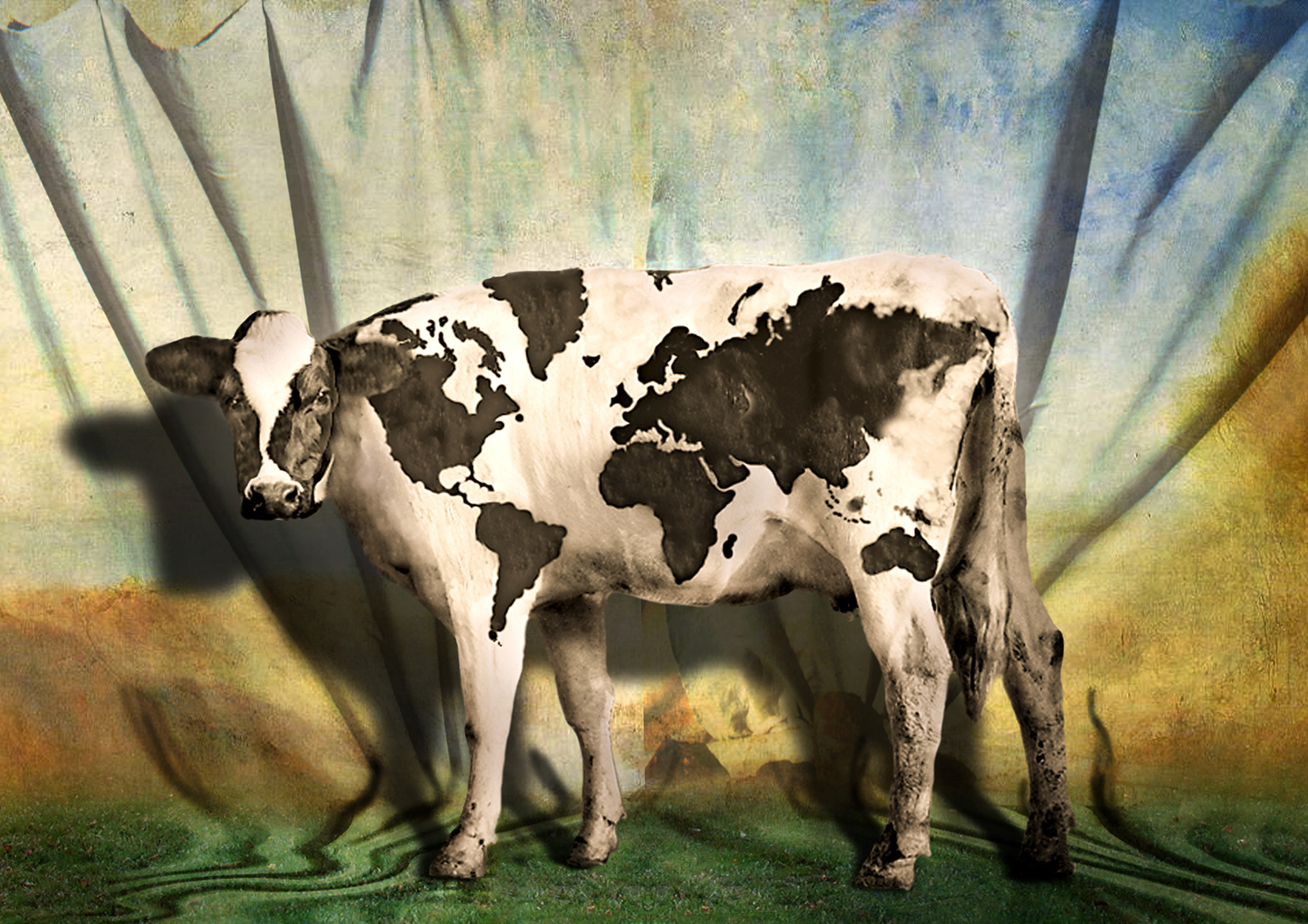 Global Cow / Cow Planet