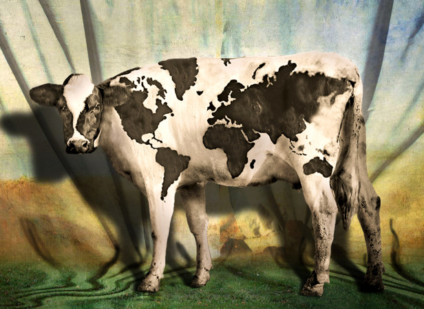 Global Cow / Cow Planet