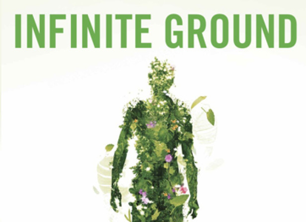 Infinite Ground cover1.jpg