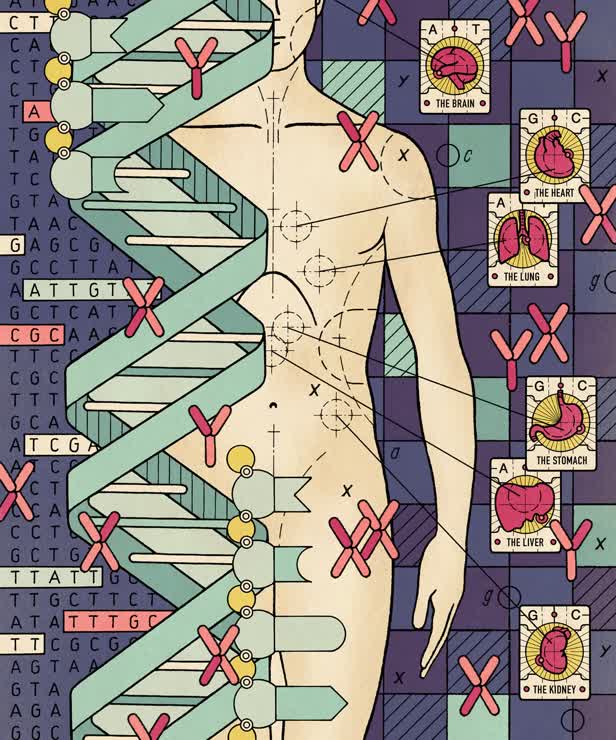 Genetic Fortune Telling / New Scientist Magazine