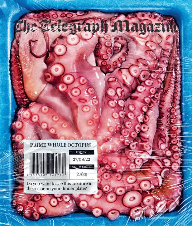 Octopus cover / The Telegraph Magazine