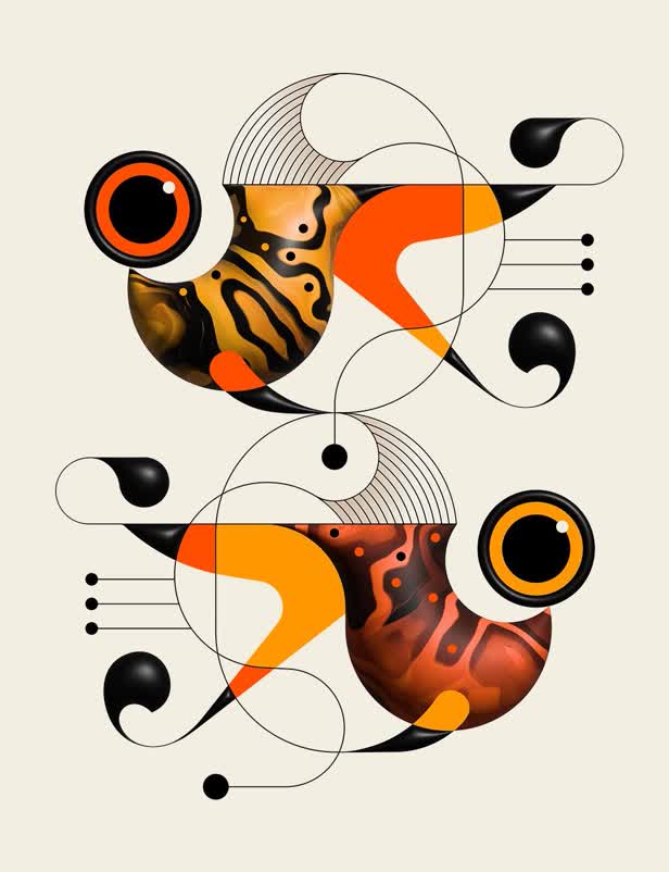 Slash Screen Startup / Adobe