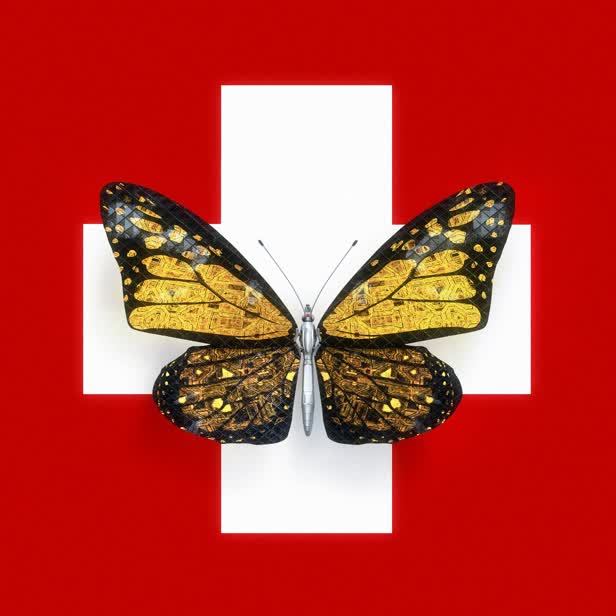 Swiss Butterfly