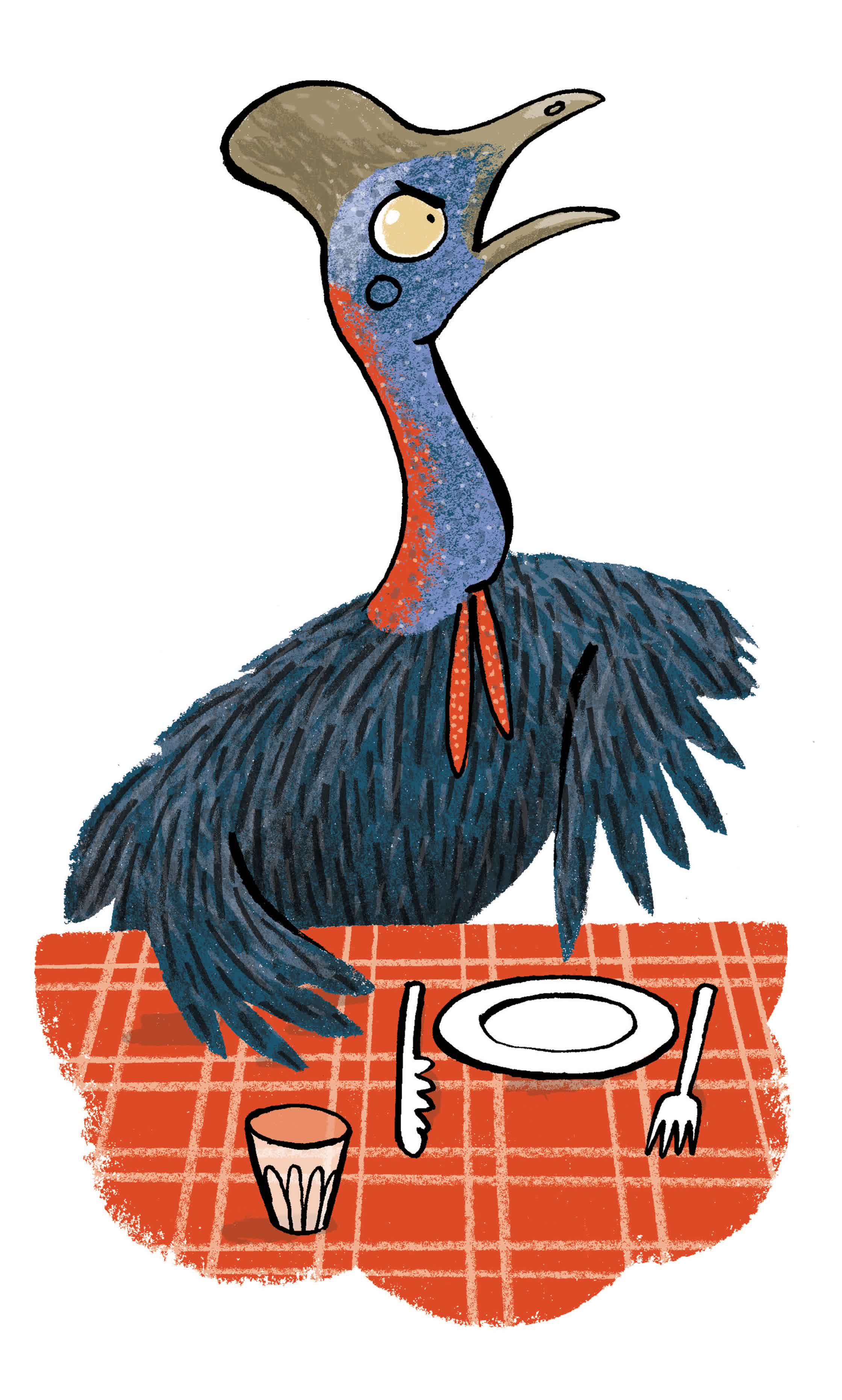 Streich-Orbit-Magazine-Cassowary-food.jpg