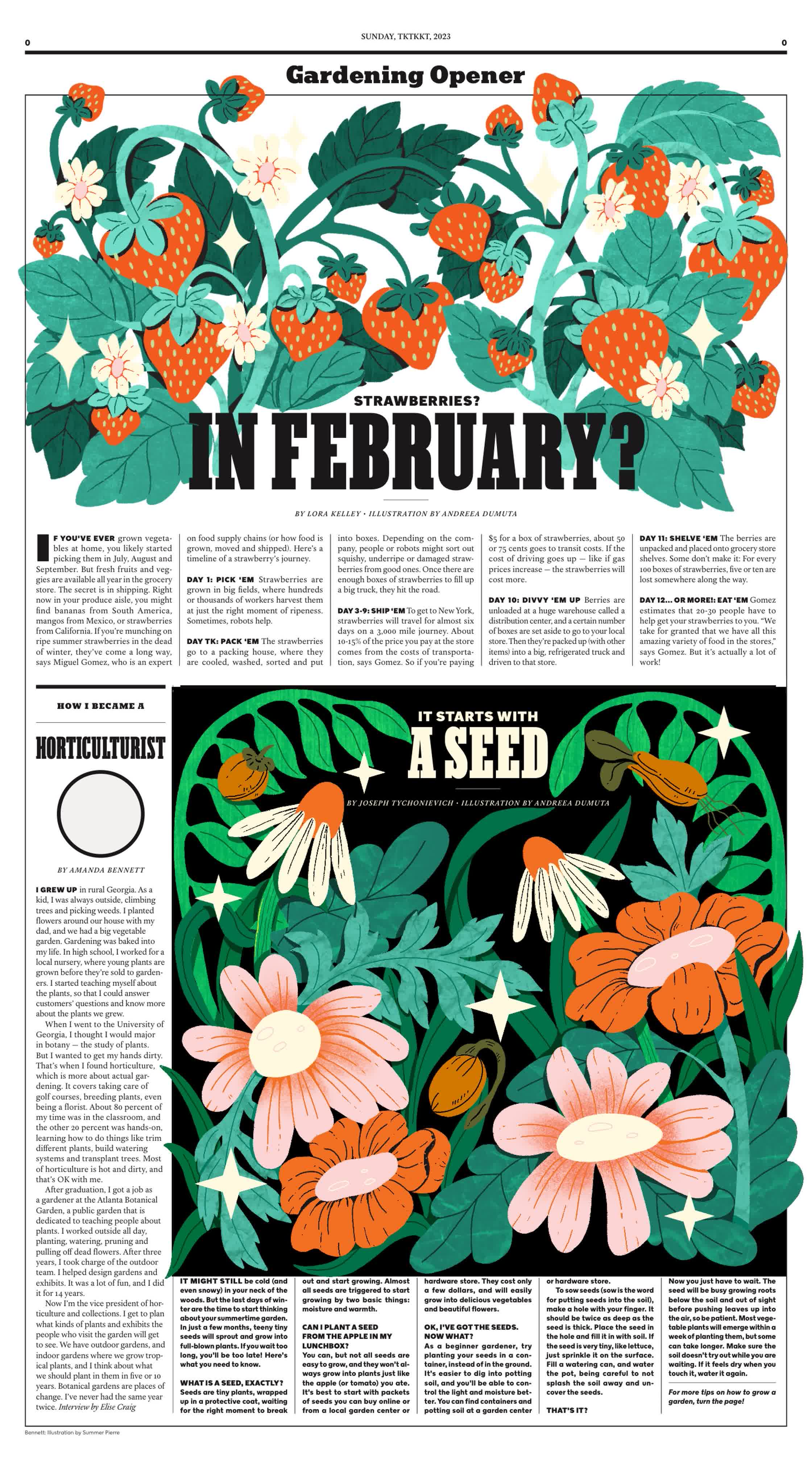 TheNewYorkTimesForKids-Strawberry.jpg