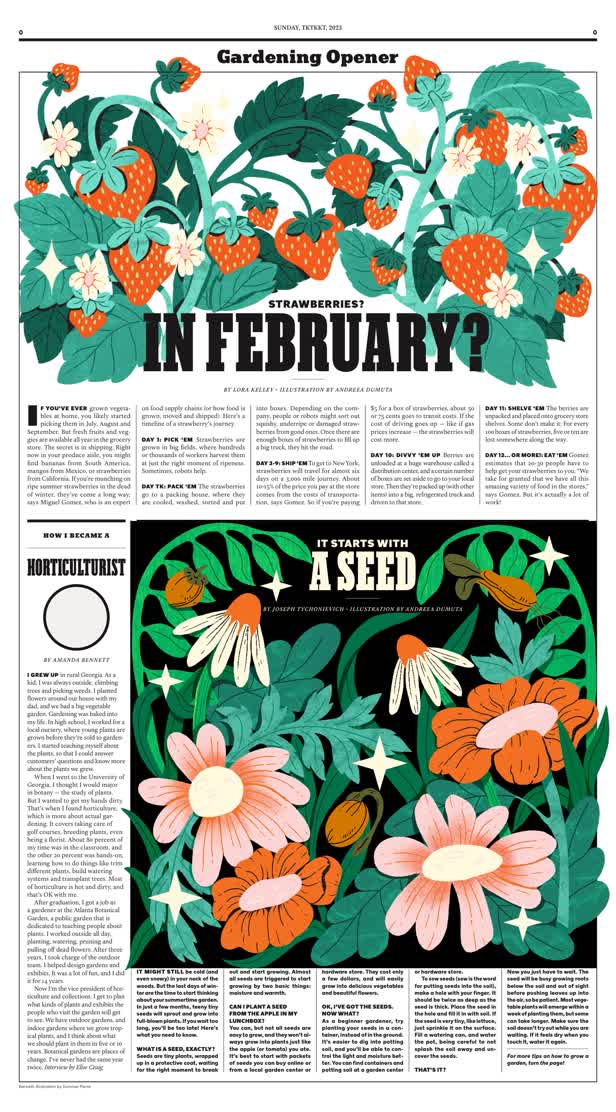 Strawberry / The New York Times For Kids