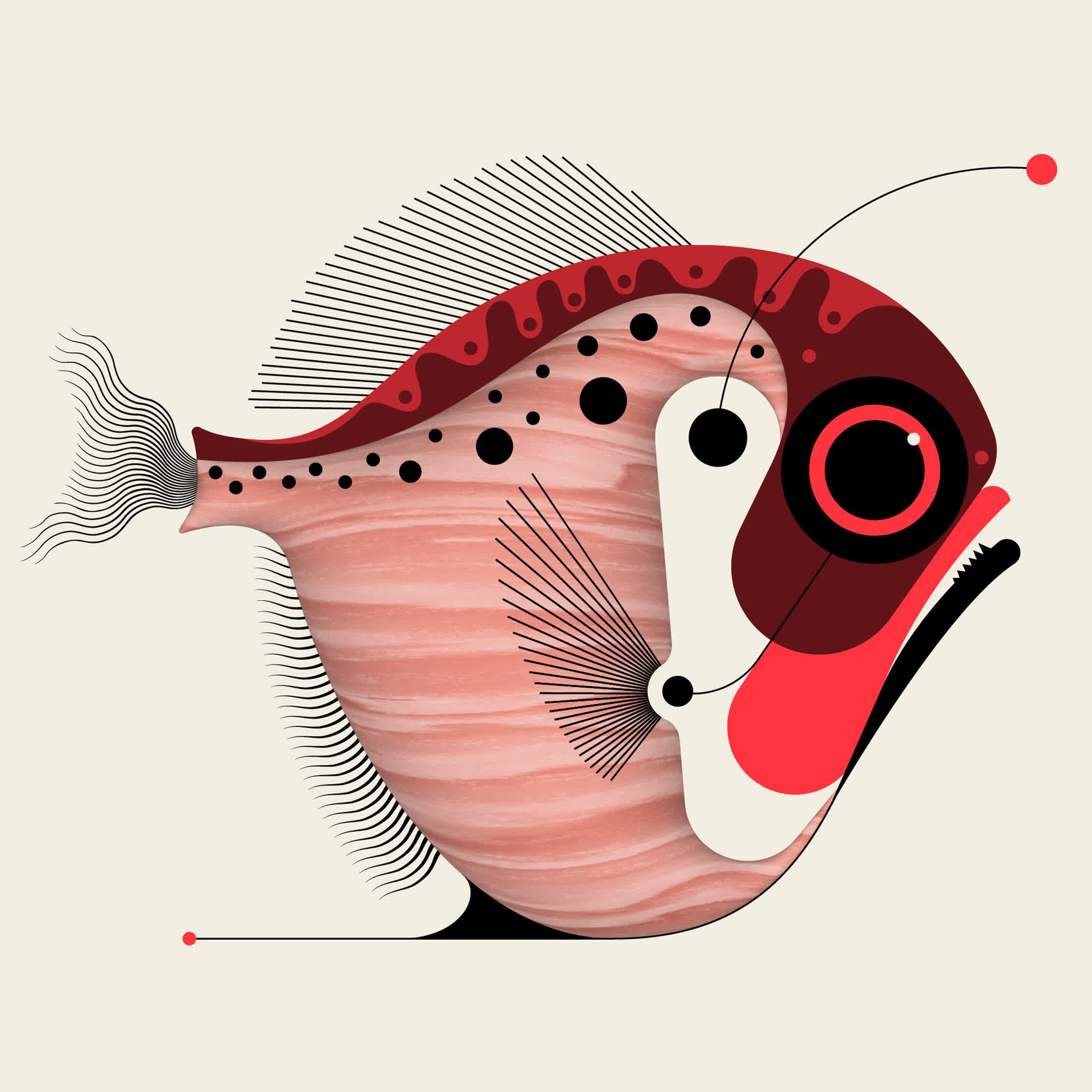 Piranhaha.jpg