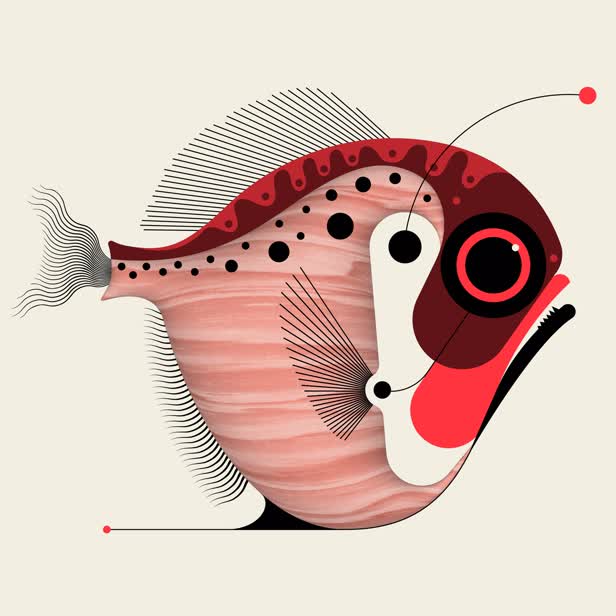 Piranhaha