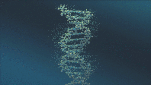 DNA.mp4