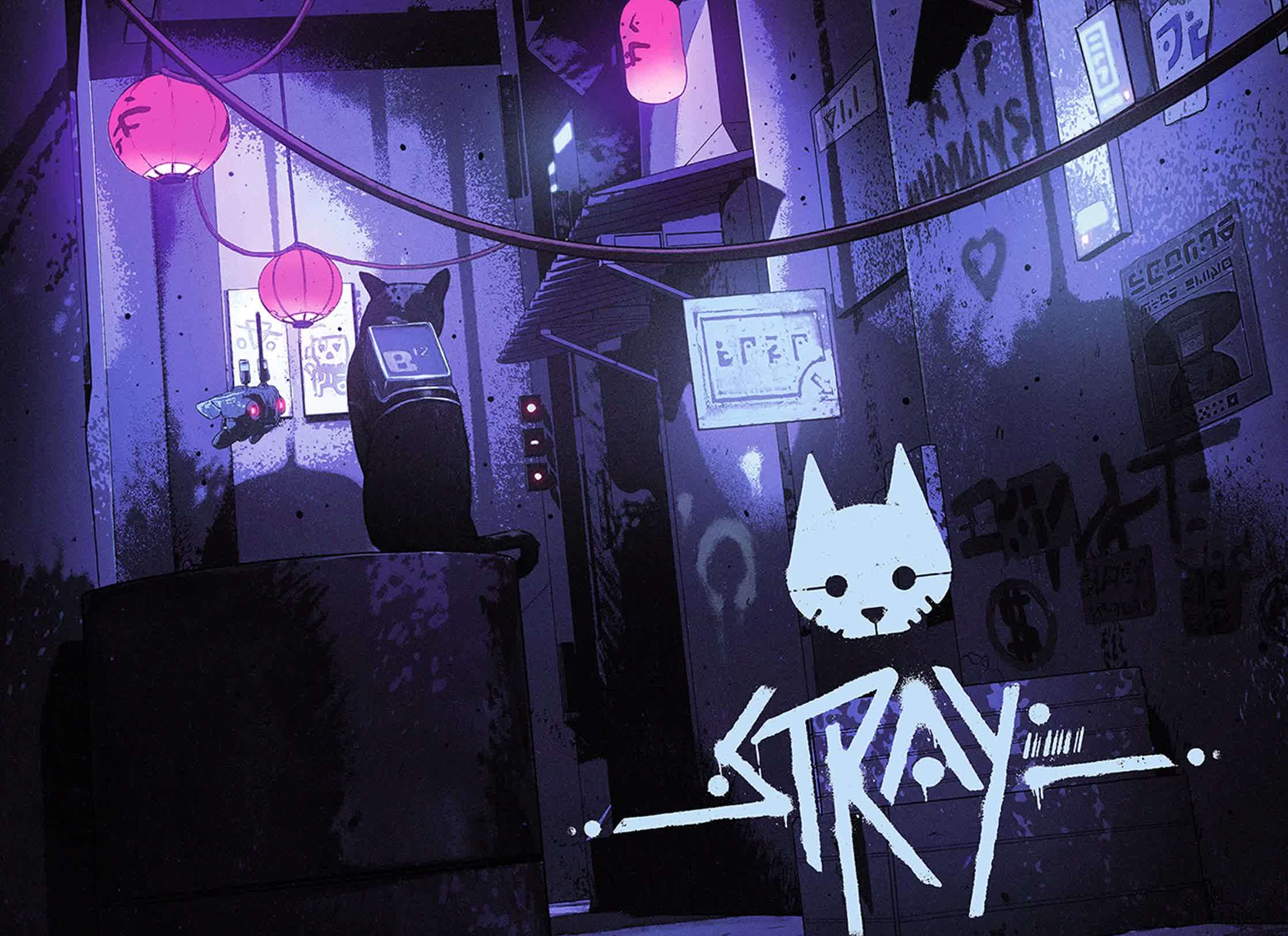 Daniel Taylor_Stray.jpg