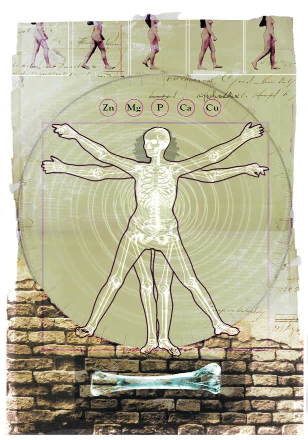 Ostopeorosis Skeleton Vitruvian Woman / Candis Magazine