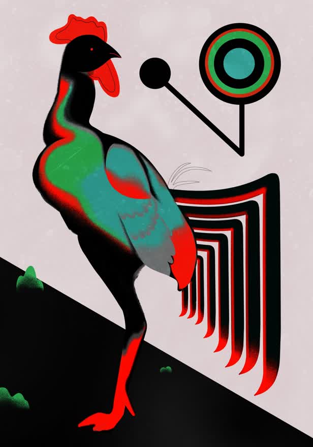 Cock