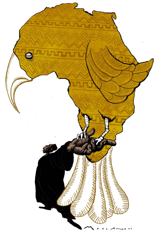 African Bird