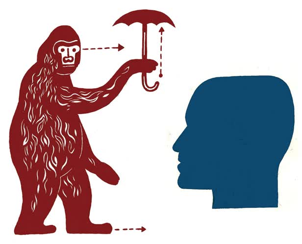 Rainy Gorilla