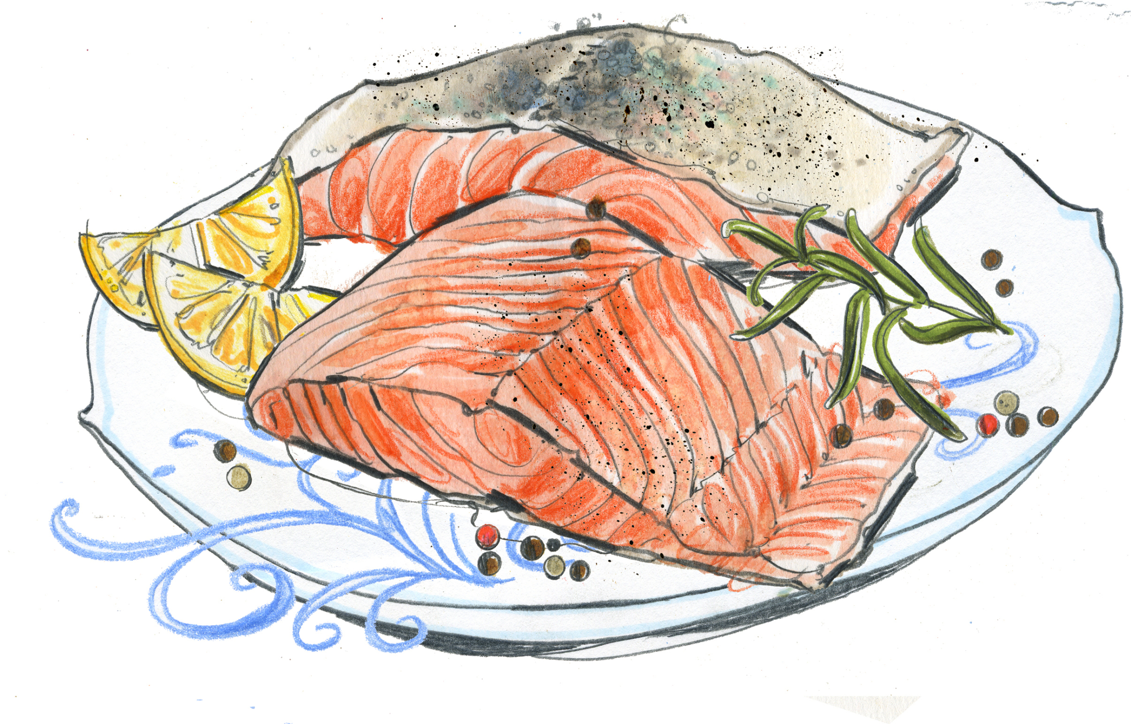 Ocado Salmon illustration.jpg