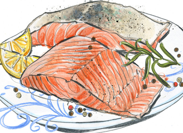 Ocado Salmon illustration.jpg