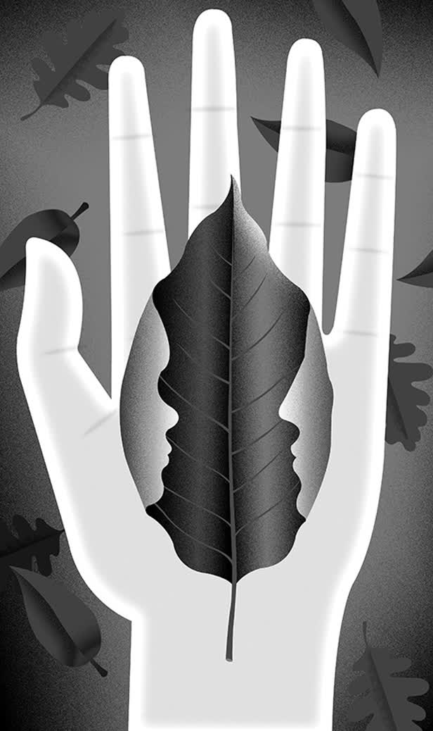 Sapling / Literary Review of Canada