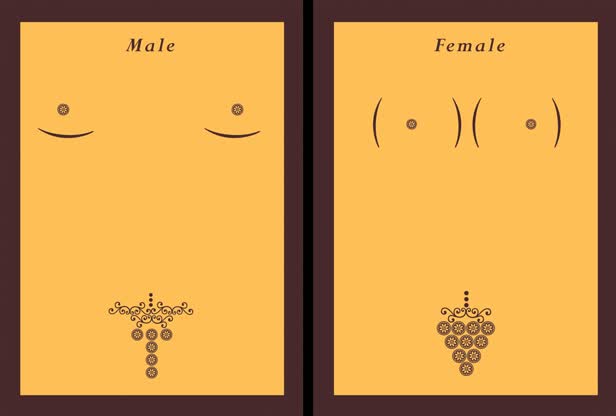 Male / Female