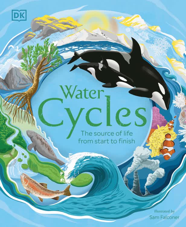 Water Cycles / Dorling Kindersley