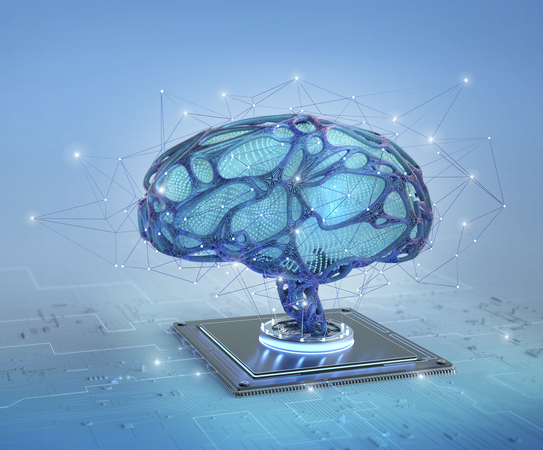 Brain / Mayo Clinic