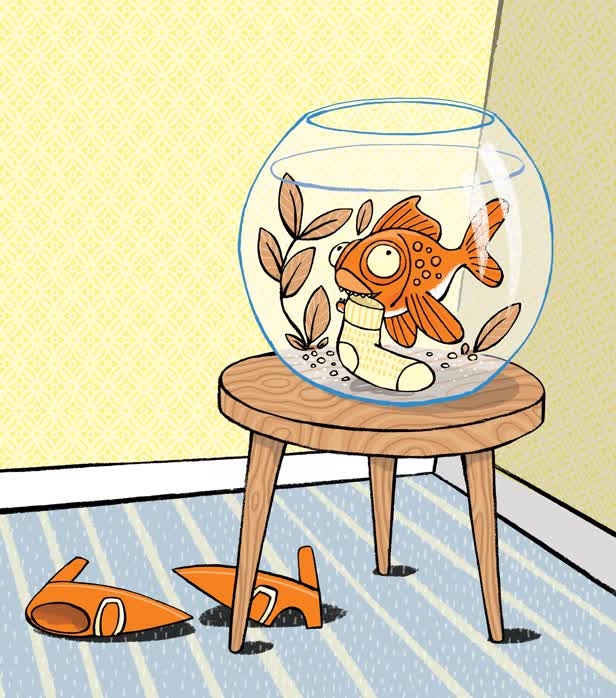 Dangerous Pet / Countdown Magazine