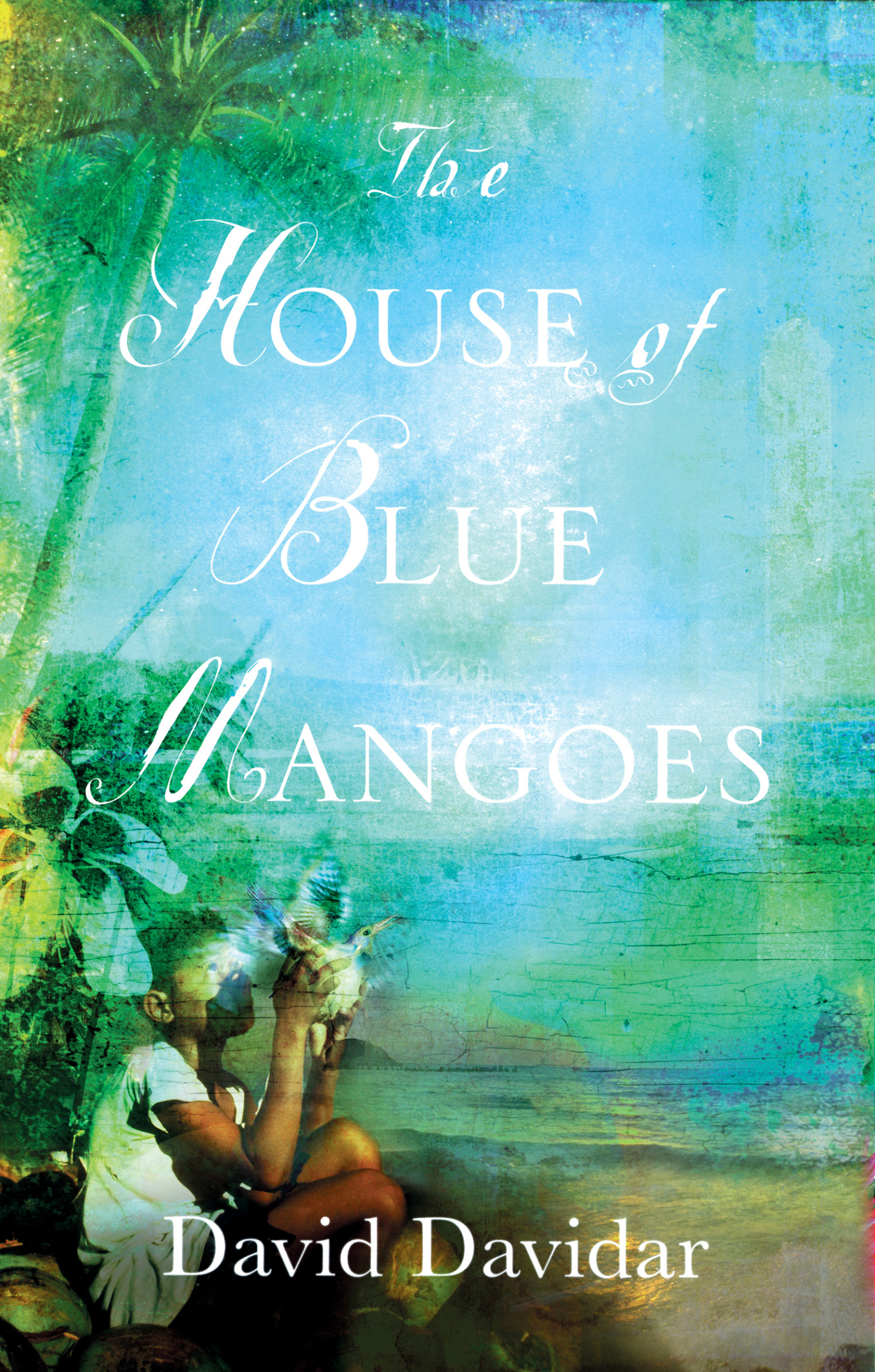The House of Blue Mangoes W&amp;N Books
