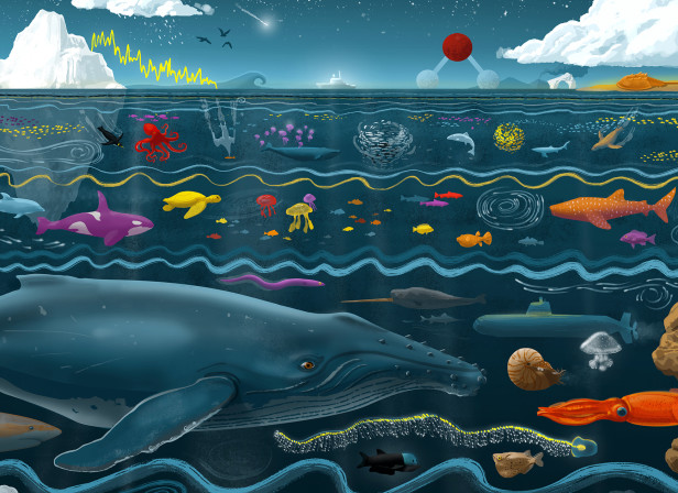 Oceans-Illustration-Cover.jpg