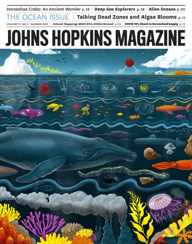 Oceans Detail / Johns Hopkins Magazine