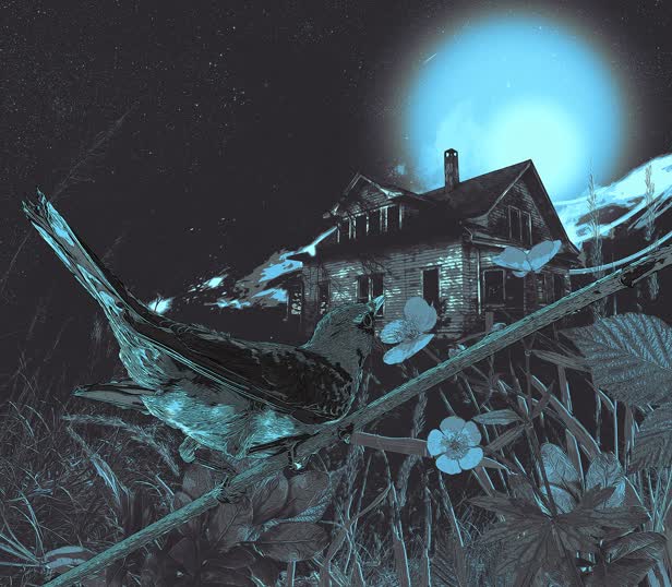 The Visit