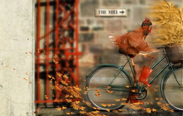 Carla Chicken Children's Book 2