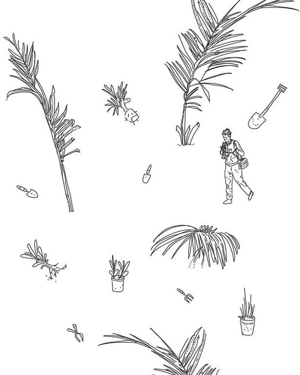 Sculpture Garden Plants