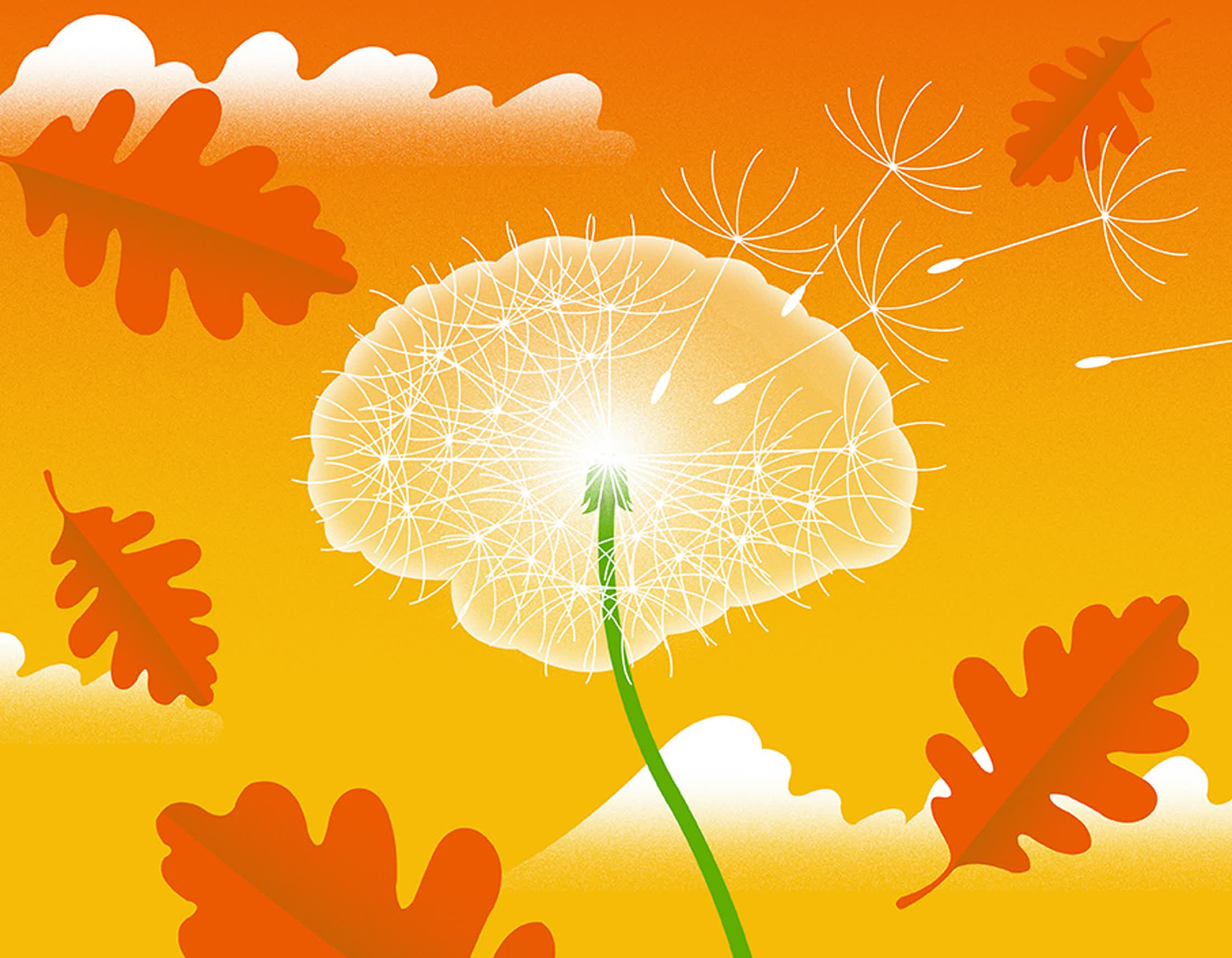 Self initiated_dementia1_low.jpg