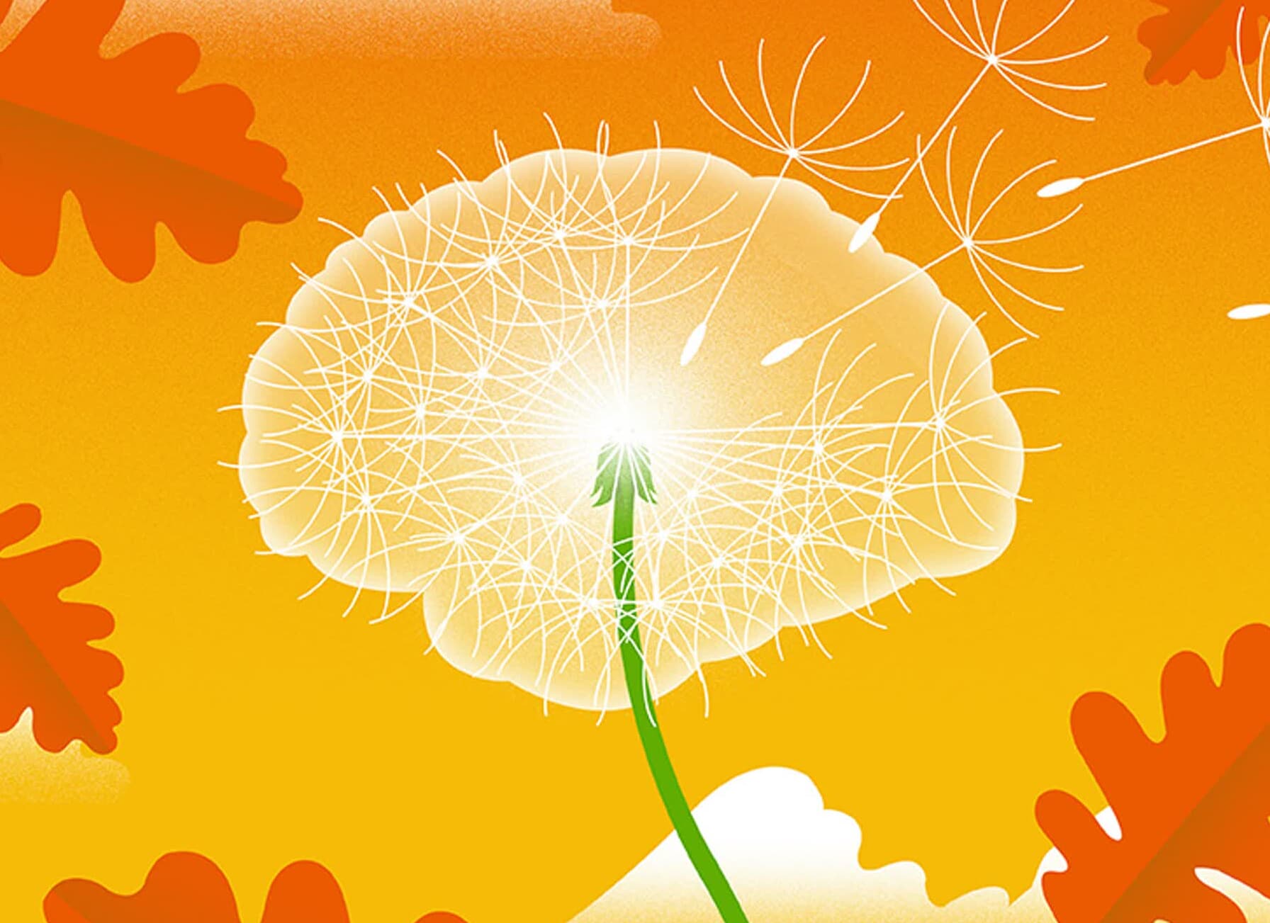 Self initiated_dementia1_low.jpg