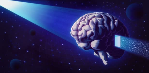 Far Side of the Brain / Spectrumnews