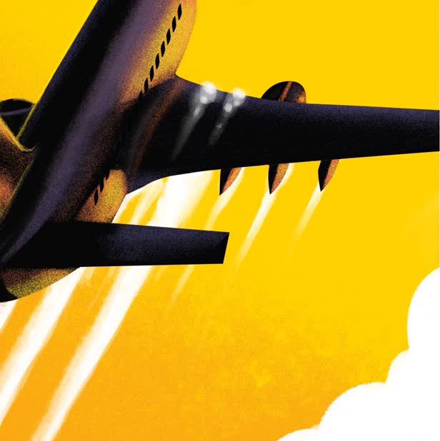 Fly