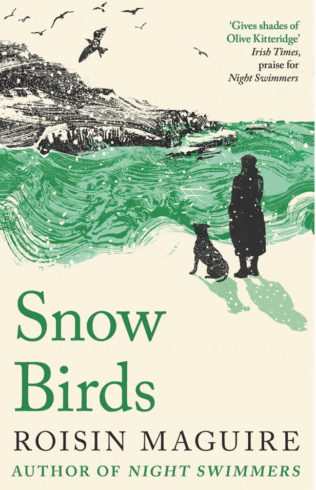 Snowbirds book cover / Profile Books