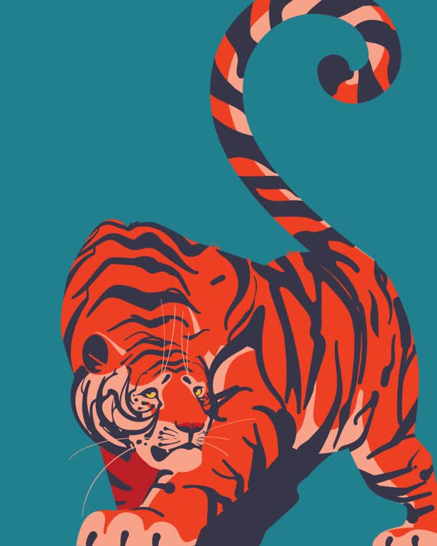 The Year of the Tiger