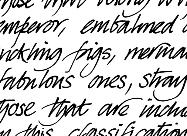 Fabulous Ones Handwriting Sample