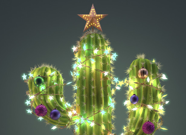 Fabulous mag xmas cactus.jpg