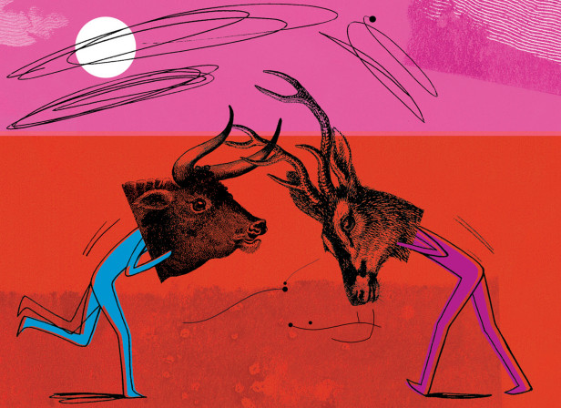 Political Stags The Guardian