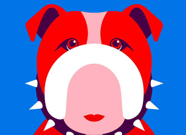 british-bulldog.jpg